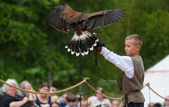 February Half Term: Hawking About Birds of Prey