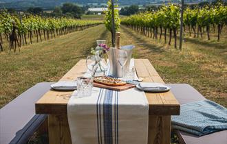 A table with pizza and wine in a vineyard