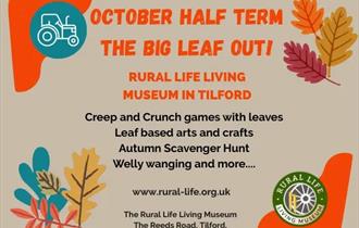 The Big Leaf Out