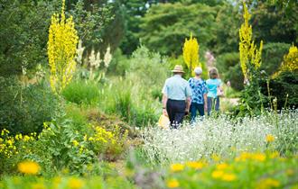 The Savill Garden