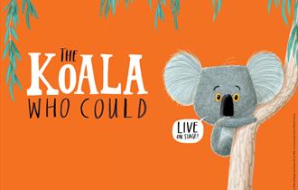 The Koala Who Could