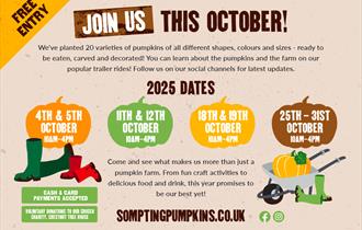 Sompting Pumpkins Flyer