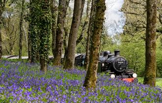 Isle of Wight, Steam Railway, Things to Do, Mothers Day events