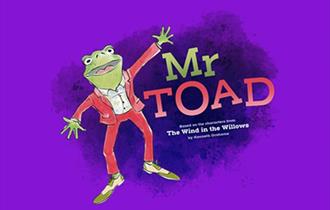 Mr Toad