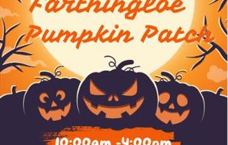 PYO pumpkins at The Great Farthingloe Pumpking Patch