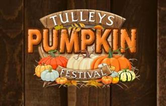 Tulley's Farm Pumpkin Festival in West Sussex