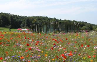 Reigate Priory Park