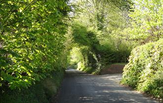 The Surrey Hills