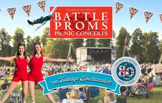 A summer picnic concert