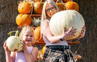 Pumpkin Pride at Tapnell Farm Park at Halloween event, Isle of Wight, What's On