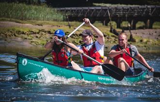 New Forest Activities Team Building