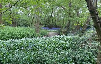 NGS Open Days at The Garth Pleasure Grounds, Surrey