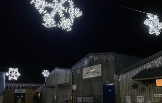 star lights at night farmer palmers farm park