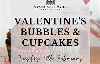 Valentine's Bubbles & Cupcakes