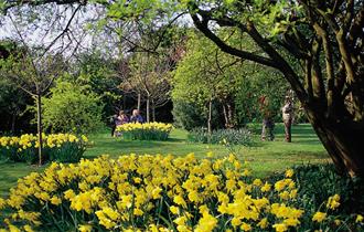Highdown Gardens Worthing - spring flowers