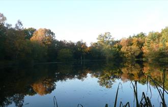 Yateley Common Country Park