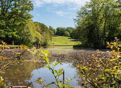 Staunton Country Park - Country / Royal Park in Havant, Havant - Visit ...