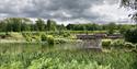 Bedgebury National Pinetum & Forest