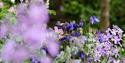 The Colourful Runnymede Surrey Magna Carta 800th Anniversary Garden