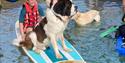 Action Watersports