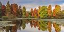 Bedgebury National Pinetum & Forest