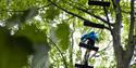 Go Ape in the South East