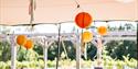 Oaken Grove Vineyard