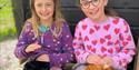 Cuddles with Guinea Pigs at Aldingbourne Country Centre