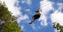 Go Ape in the South East