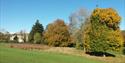 Trees in autumn