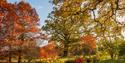 Borde Hill Garden