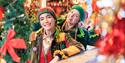 A Magical Christmas at Bocketts Farm