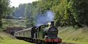 Bluebell Railway -  Sussex scenery