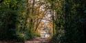 River Hamble Country Park