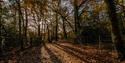 River Hamble Country Park