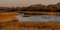 Titchfield Haven National Nature Reserve