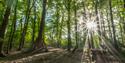 River Hamble Country Park