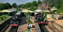 Bluebell Railway Trust
