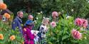 RHS Garden Wisley