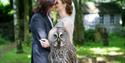 Hawk Conservancy Trust