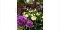 Riverhill Himalayan Gardens