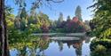 Sheffield Park National Trust - view of the lake and autumnal coloured trees