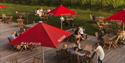 Balfour Winery