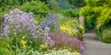 Borde Hill Garden