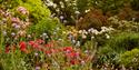 Borde Hill Garden