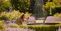 Borde Hill Garden