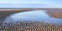 Low Tide at Dymchurch Beach