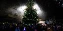 An illuminated Christmas tree at the Cosham lights switch on event