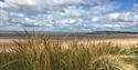 Camber Sands, credit: Carol Brazel