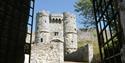 Carisbrooke Castle